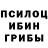 Галлюциногенные грибы Psilocybine cubensis Sina Tovba