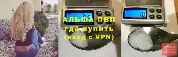 тгк Магас