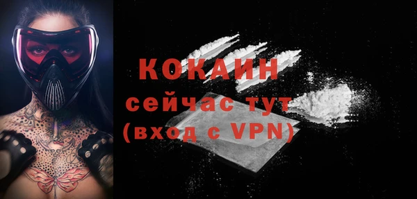 тгк Магас