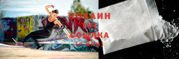 тгк Магас