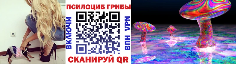 цены наркотик  Свободный  Галлюциногенные грибы Psilocybine cubensis 
