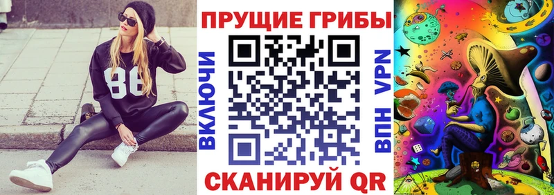 Галлюциногенные грибы Cubensis Свободный